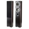 Tannoy Revolution Signature DC6 T Espresso