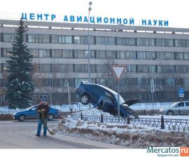 Канадский сфинкс - кошка фараонов 15 000 т.р котята