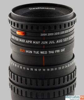 Канадский сфинкс - кошка фараонов 15 000 т.р котята