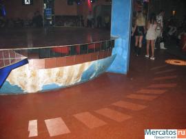 Канадский сфинкс - кошка фараонов 15 000 т.р котята