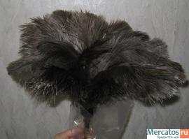 metelka-perevaya-strausinoe-pero-uborka-pyli-pylevytiralka-3