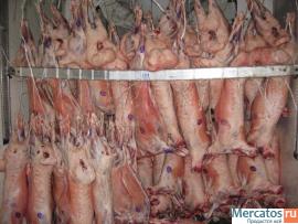 Говядина,свинина,Баранина,ЦБ Промзабой Гост