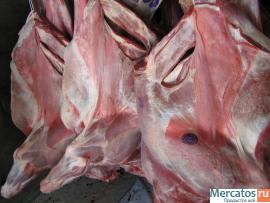 Говядина,свинина,Баранина,ЦБ Промзабой Гост