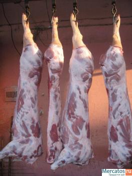 Говядина,свинина,Баранина,ЦБ Промзабой Гост