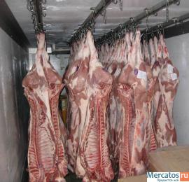 Говядина,свинина,Баранина,ЦБ Промзабой Гост