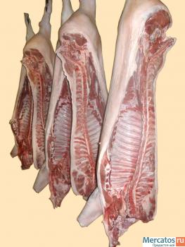 Говядина,свинина,Баранина,ЦБ Промзабой Гост