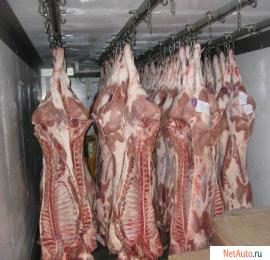 Svinina-obreznaya-bez-shkury-bez-shpikaohlazhd-bekonnaya-v-pt-Prom