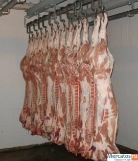 Svinina-obreznaya-bez-shkury-bez-shpikaohlazhd-bekonnaya-v-pt-Prom-3