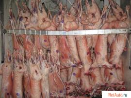 Baraninayagnyatinaohlazhdenaya-v-tushkahPromzaboy-GostRossiya