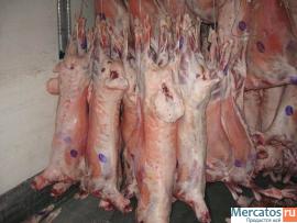 Baraninayagnyatinaohlazhdenaya-v-tushkahPromzaboy-GostRossiya-4