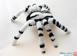 Паук птицеед белый.