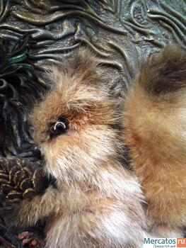 Картина из кожи" Белочка".