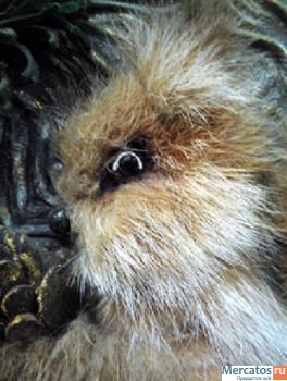 Картина из кожи" Белочка".