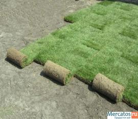 Проектируем прибыльное производство рулонных газонов из сапропел 5