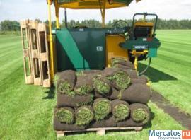 Проектируем прибыльное производство рулонных газонов из сапропел 6