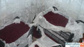 Продам клюкву 3