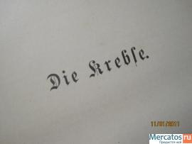 1893-g-Antikvarnaya-kniga-bolee-700-stranic-s-prekrasnymi-illyust-5