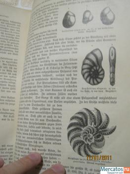 1893-g-Antikvarnaya-kniga-bolee-700-stranic-s-prekrasnymi-illyust-6