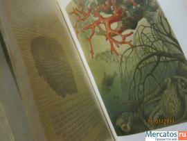 1893-g-Antikvarnaya-kniga-bolee-700-stranic-s-prekrasnymi-illyust-8