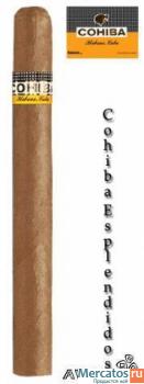 Сигары Cohiba Esplendidos 5