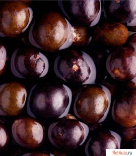 Acai-Berri-Superpischa-dlya-sportsmenov-