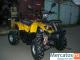 kvadrocikl-novyy-utilitarnyy-150v-8
