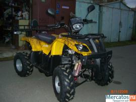 kvadrocikl-novyy-utilitarnyy-150v-8