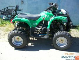 kvadrocikl-novyy-utilitarnyy-150v-8-2