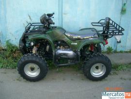 kvadrocikl-novyy-utilitarnyy-150v-8-3