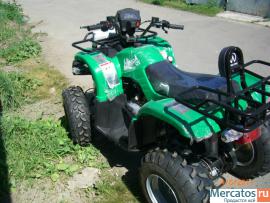 kvadrocikl-novyy-utilitarnyy-150v-8-4