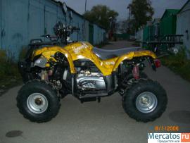 kvadrocikl-novyy-utilitarnyy-150v-8-5