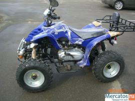 kvadrocikl-novyy-150A-8-3