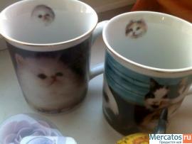 Сувениры и подарки - чашки котята, глобус, мыло, хрусталь