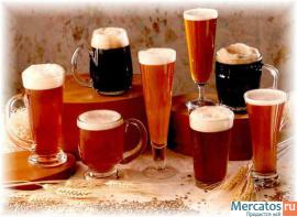 Unikalnyy-kurs-po-tehnologii-pivovareniya