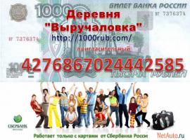 Деревня "Выручаловка"