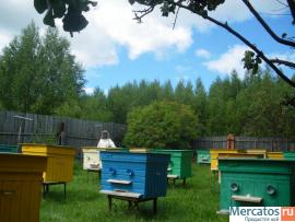 МЕД! Нытвенский Мед.