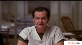 Кто защитит российских птенцов, перелетающих через гнездо кукушк