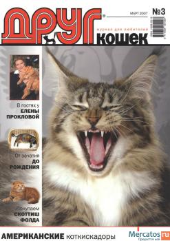 Podborka-zhurnalov-Drug-dlya-lyubiteley-koshek-4