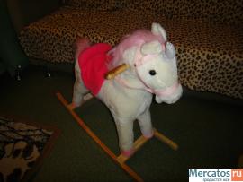 prodam-loshadkukachalku-2