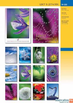 Календарь настенный . На 2012 год 7