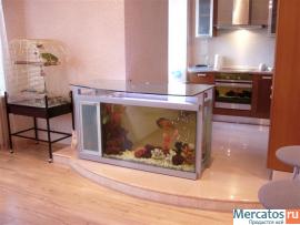 Аквариумные комплексы любой сложности.