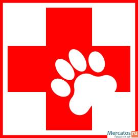 Услуги частного ветеринарного врача