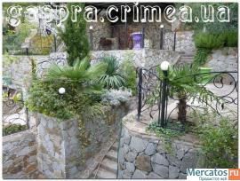 Отдых в Крыму 2012 в Мисхоре в комфортном коттедже в Дюльбере 4