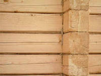 срубы без посредников от производителя 5