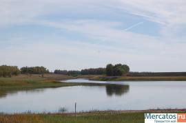 Продается пруд 8