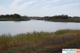 Продается пруд 9