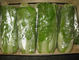 Продам оптом овощи и фрукты! 3