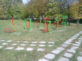 Ищем Диллеров 5