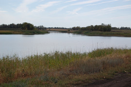 Продается пруд