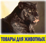 Открылся новый магазин для животных Открылся новый магазин для животных